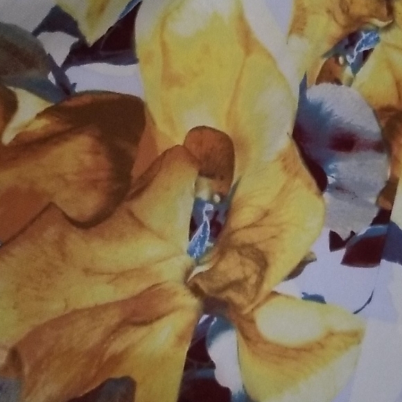 Entro Buttery soft ruffled babydoll v neck floral - Picture 6 of 8